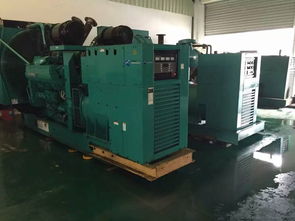 文昌發(fā)電機(jī)出租 三亞擇信機(jī)電助力電力保障